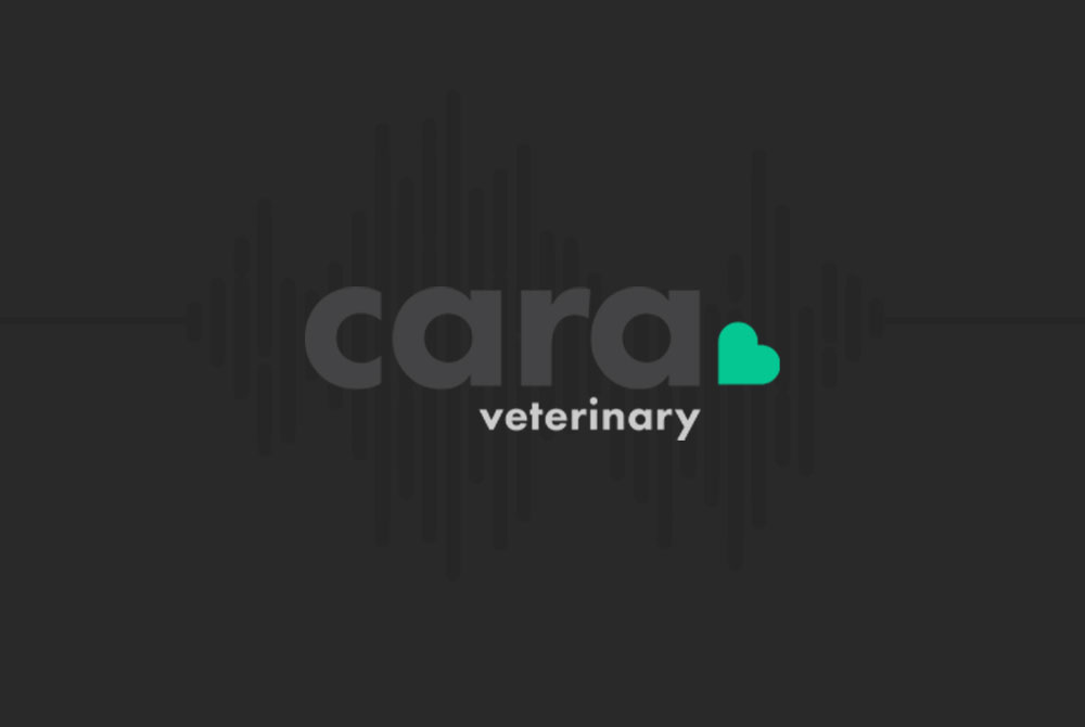 Logo featuring the word "cara" in large gray letters with "veterinarian" below in smaller white text, set against a dark background with abstract line patterns. A small teal heart shape completes the vet-inspired design.