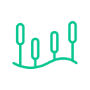 Simple line drawing of five cattails growing beside a wavy line suggesting water, resembling a serene natural environment often appreciated by a veterinarian. The cattails are evenly spaced and depicted in a minimalist style with a green color.